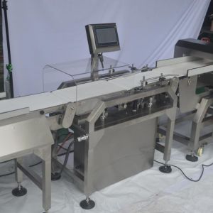 Iris Checkweigher metal detector combination unit